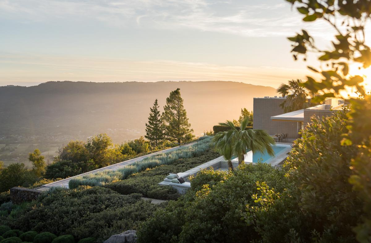 Sunset in wine country